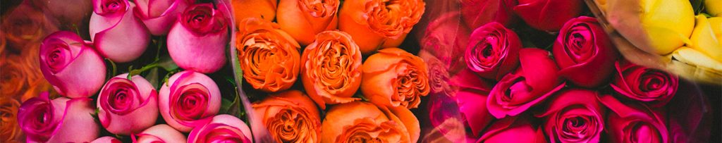 Le bilan de compétences, un tremplin pour rebondi l'expérience de Gilles CAILLEAU