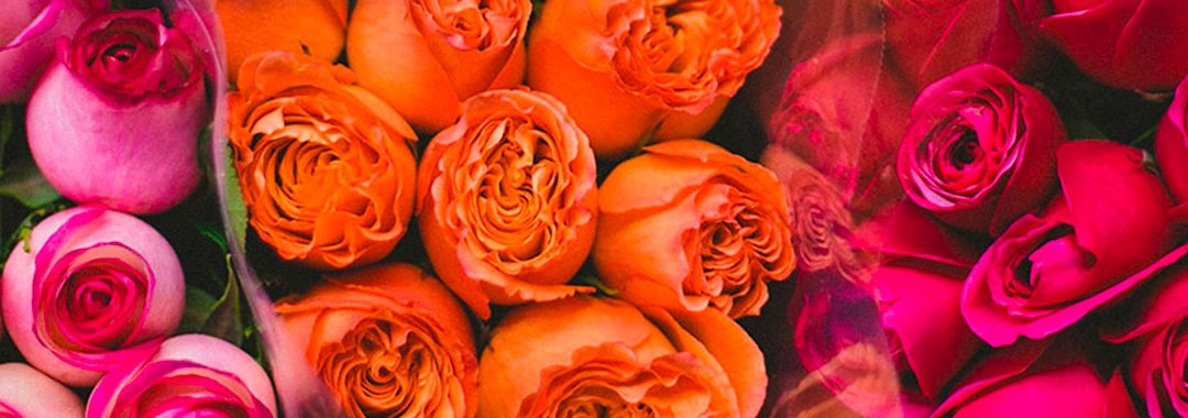 Rebondir dans sa carrière grâce au bilan de compétences