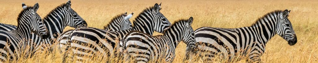 Haut potentiel quelle définition